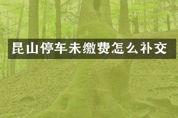 昆山停车未缴费怎么补交