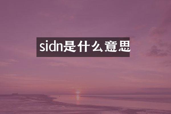 sidn是什么意思