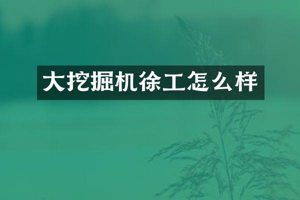大挖掘机徐工怎么样