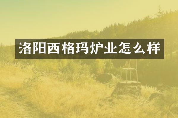 洛阳西格玛炉业怎么样