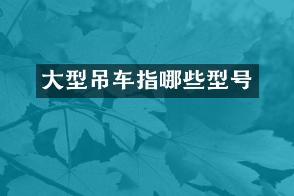大型吊车指哪些型号