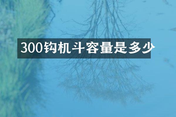 300钩机斗容量是多少