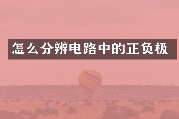 怎么分辨电路中的正负极