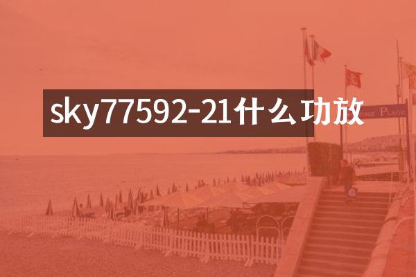 sky77592-21什么功放