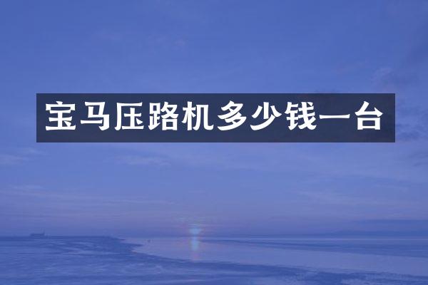 宝马压路机多少钱一台