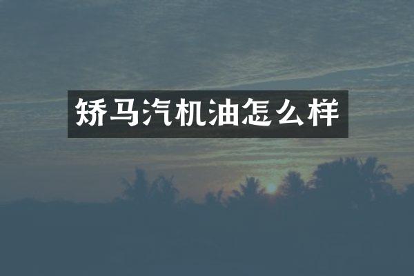 矫马汽机油怎么样