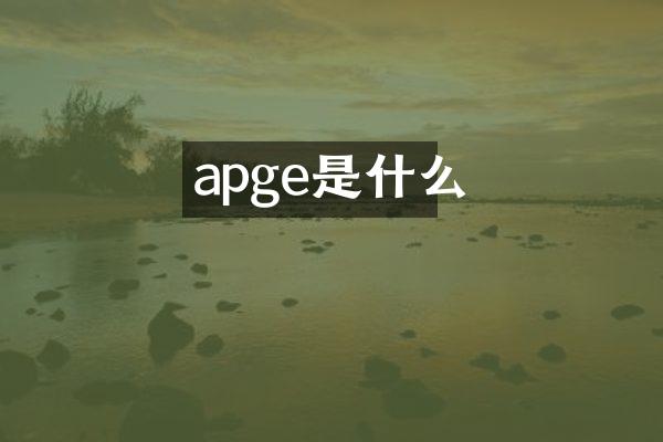 apge是什么