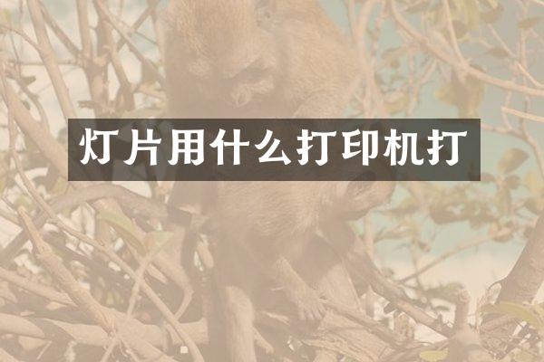 灯片用什么打印机打