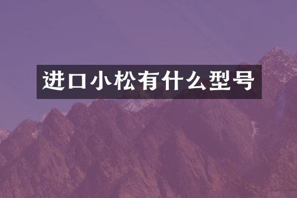 进口小松有什么型号