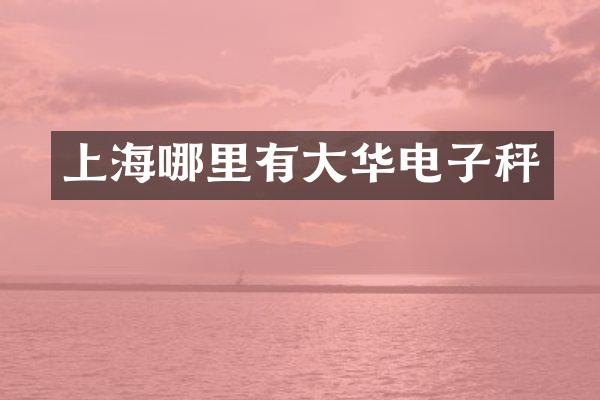上海哪里有大华电子秤