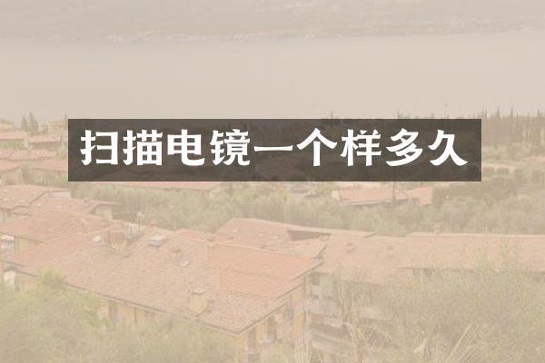 扫描电镜一个样多久