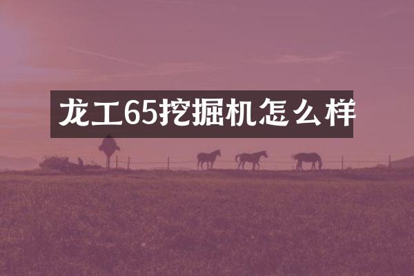 龙工65挖掘机怎么样