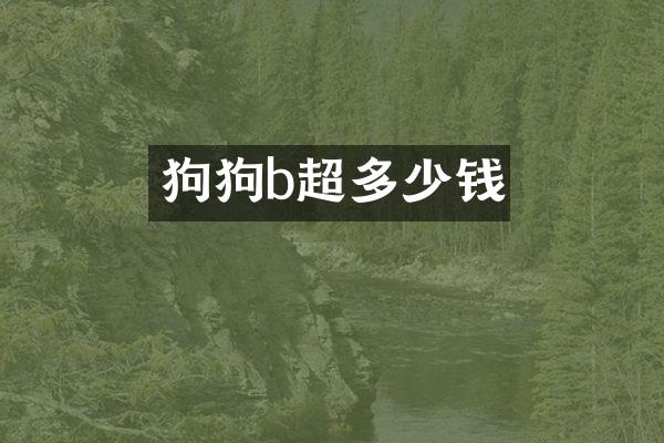 狗狗b超多少钱