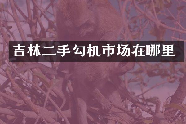 吉林二手勾机市场在哪里