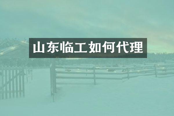 山东临工如何代理