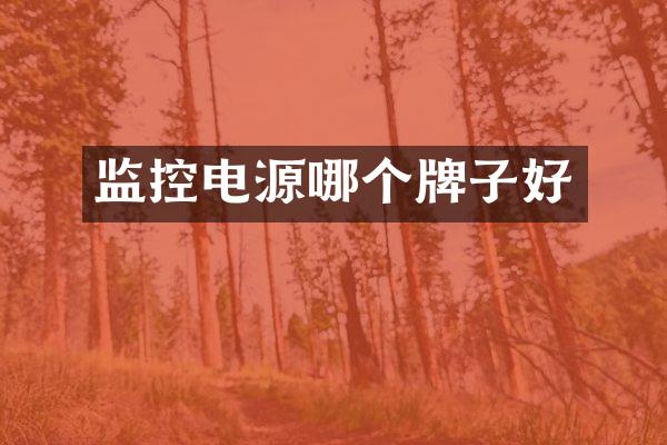 监控电源哪个牌子好