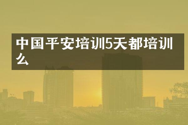 中国平安培训5天都培训什么