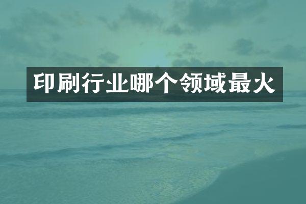 印刷行业哪个领域最火