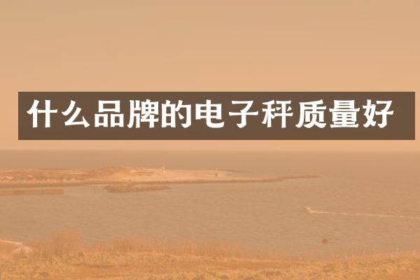什么品牌的电子秤质量好