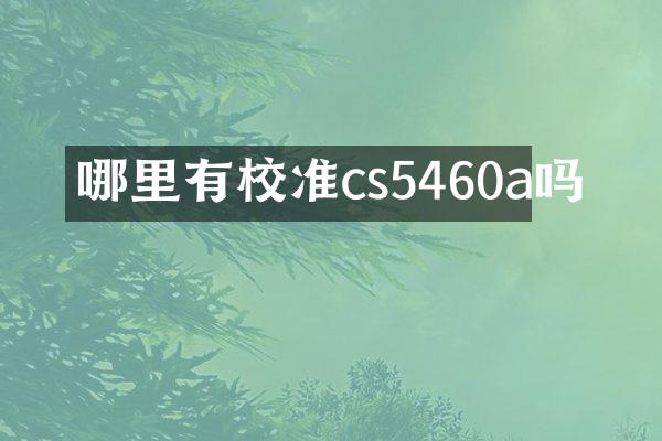 哪里有校准cs5460a吗