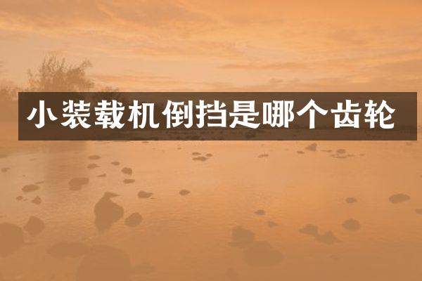 小装载机倒挡是哪个齿轮