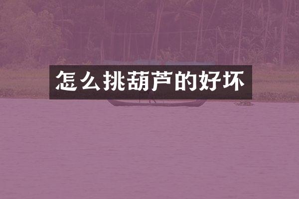 怎么挑葫芦的好坏
