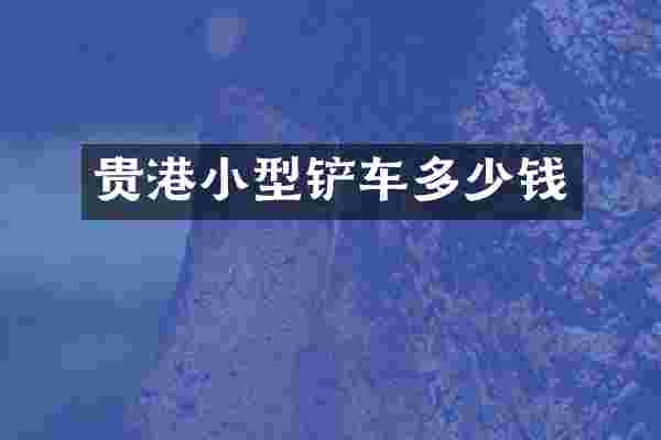 贵港小型铲车多少钱