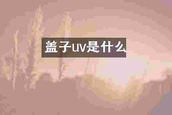 盖子uv是什么