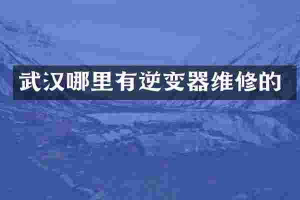 武汉哪里有逆变器维修的