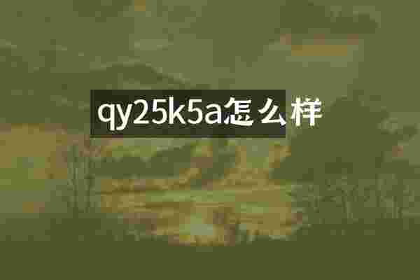 qy25k5a怎么样