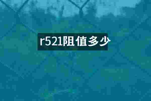 r521阻值多少