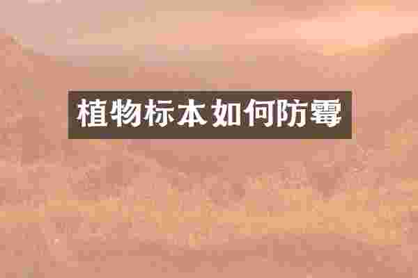 植物标本如何防霉