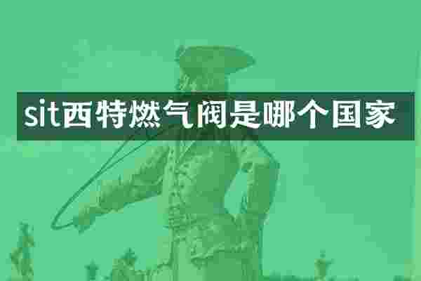 sit西特燃气阀是哪个国家