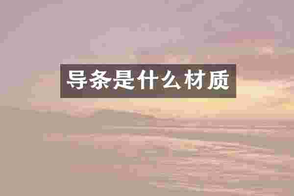 导条是什么材质