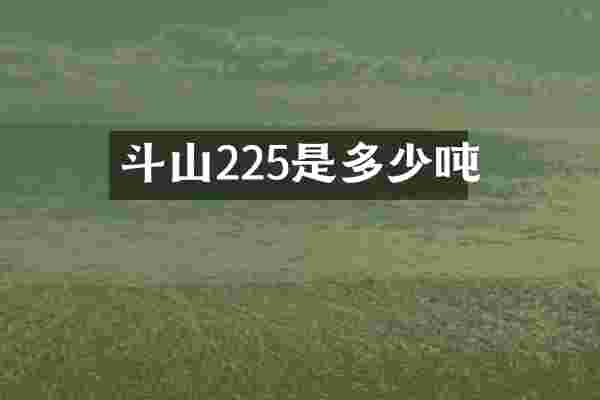 斗山225是多少吨