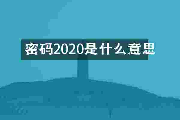 密码2020是什么意思