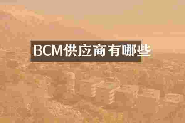 BCM供应商有哪些