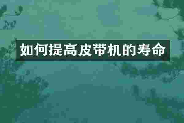 如何提高皮带机的寿命