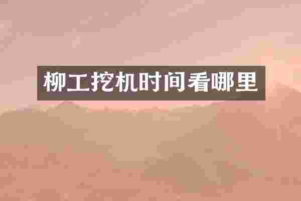 柳工挖机时间看哪里
