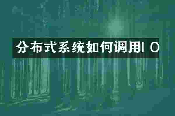 分布式系统如何调用I O