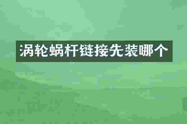 涡轮蜗杆链接先装哪个