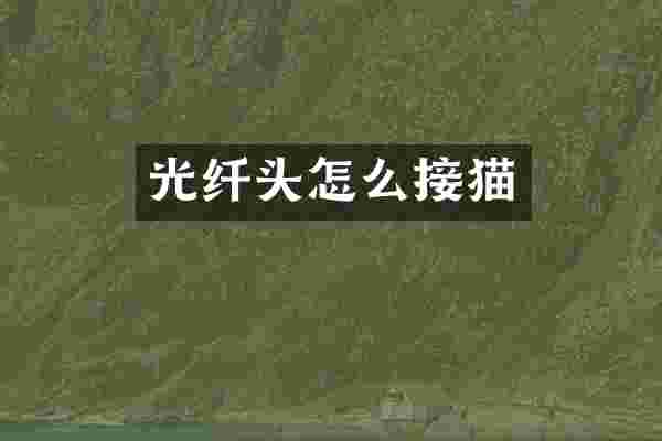 光纤头怎么接猫