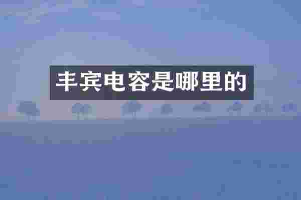丰宾电容是哪里的
