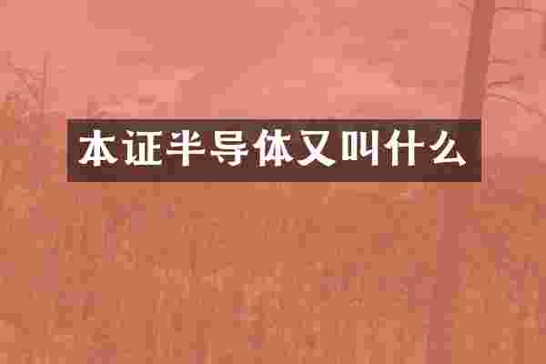 本证半导体又叫什么