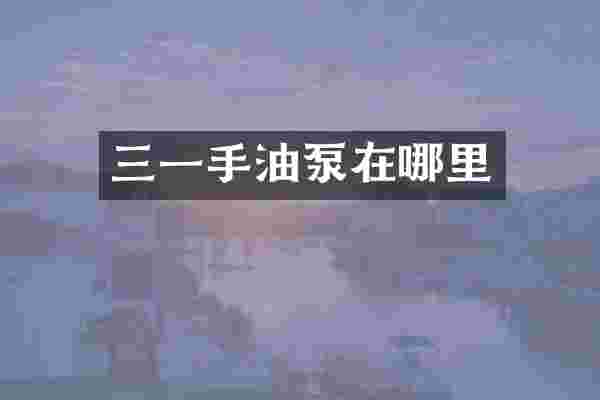 三一手油泵在哪里