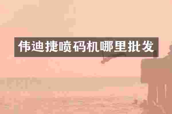 伟迪捷喷码机哪里批发