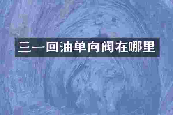 三一回油单向阀在哪里