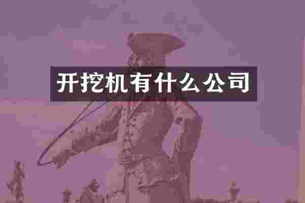开挖机有什么公司
