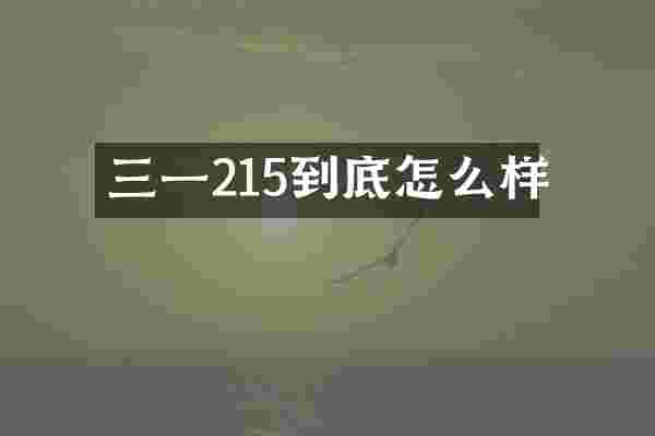 三一215到底怎么样