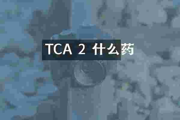 TCA 2 什么药